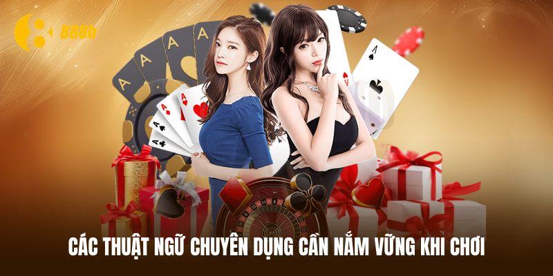 Thuật ngữ quy định trong Tiến lên miền Nam