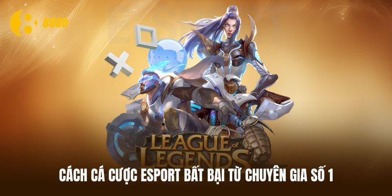Top 3 cách cá cược Esport bất bại từ chuyên gia