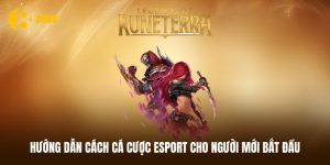 Hướng dẫn cách cá cược Esport chuẩn cho tân thủ