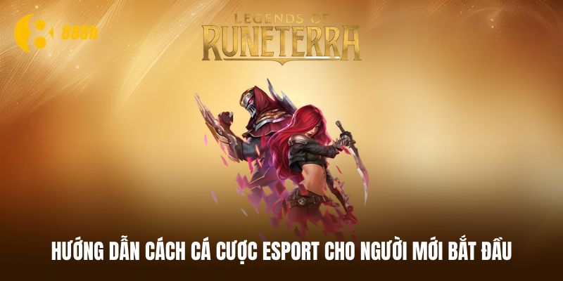 Hướng dẫn cách cá cược Esport chuẩn cho tân thủ