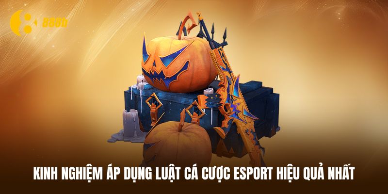 Cách áp dụng Luật cá cược Esport hiệu quả và an toàn