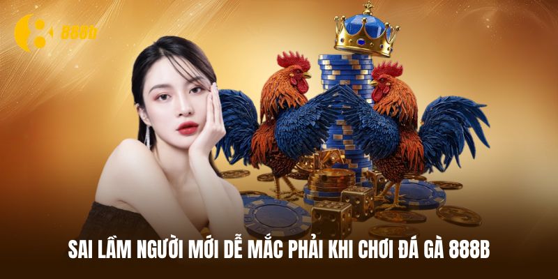 Các lỗi tránh mắc phải để chơi cược đá gà 888B thắng lớn