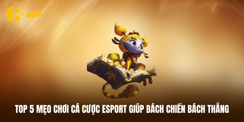 Top 5 mẹo chơi cá cược Esport bất bại từ cao thủ 888B